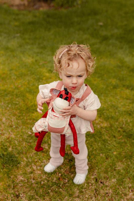 Children's Baby Carrier - Pink Gingham
