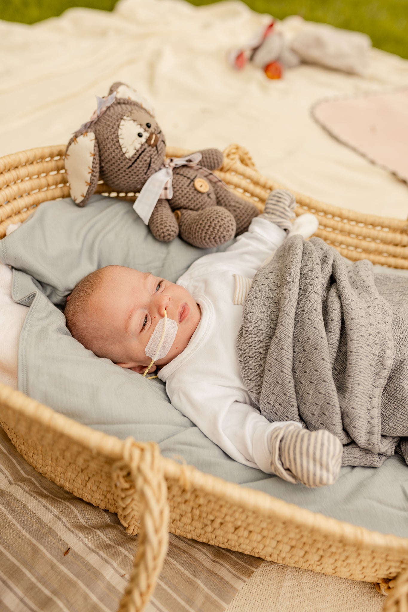 Merino Blankets